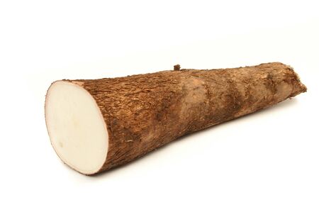 Close up of a yuca root isolated on a white backgroundの写真素材