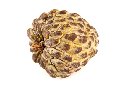 Tropical fruit called anon or custard apple isolated on white backgroundの写真素材