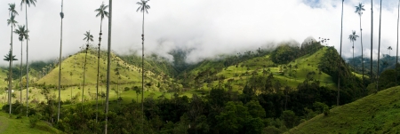 Coffee triangle landscape in Valle de Cocora near Salento in Colombiaの写真素材