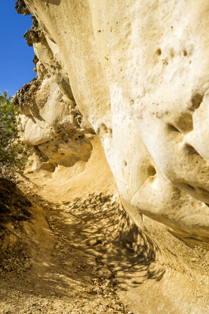 Rock texture and background for design. Close up view of rocks in the seashore.の写真素材