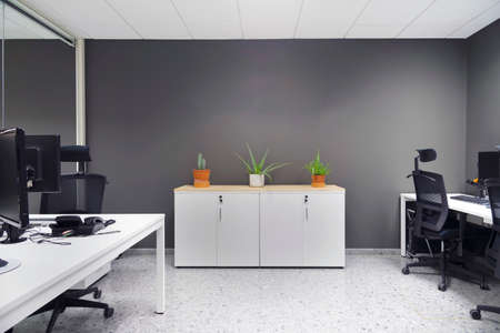 modern open space office with computer monitors on white desks