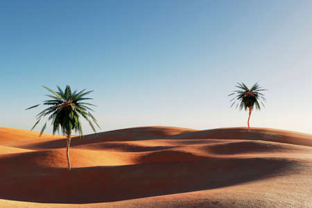 Sunset in a sandy desert, a panorama of the desert with palm trees, 3d illustrationの写真素材