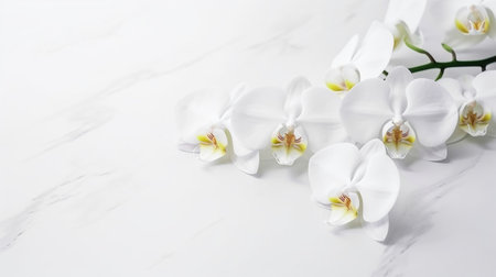 Orchid flower on pastel gray background. Flat lay, top view. AI Generativeの素材