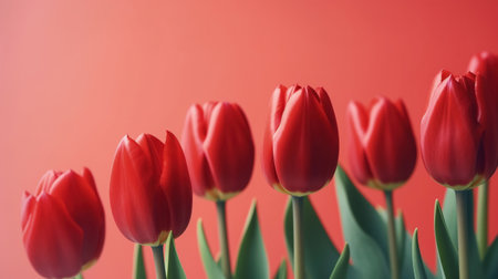 Beautiful red tulips against a red background, making it perfect for the Spring and Easter season. The soft, pastel colors and delicate blooms evoke feelings of renewal and joy. AI Generativeの素材