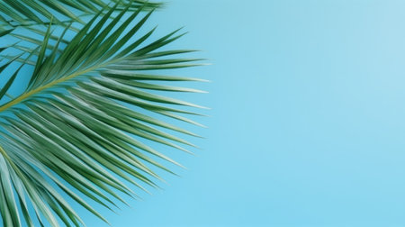 Minimal product placement background with palm shadow on blue wall. summer sky concept. Creative product platform stage mockup.の素材