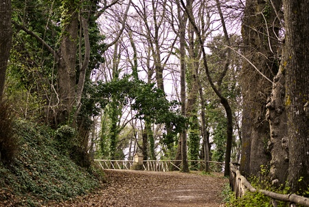 countryside walkの写真素材