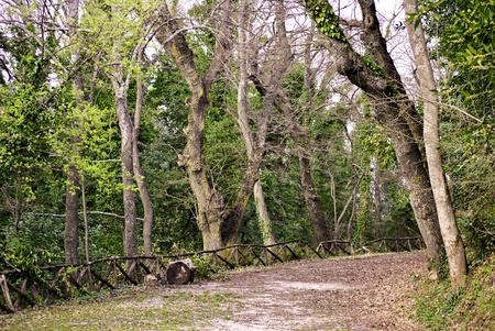 a peaceful oasis in the green countrysideの写真素材