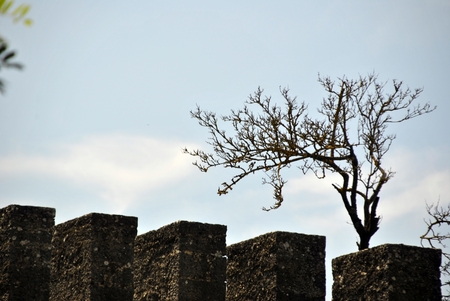 view from the San Marino Towerの写真素材