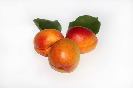 apricot,healthy eatingの写真素材