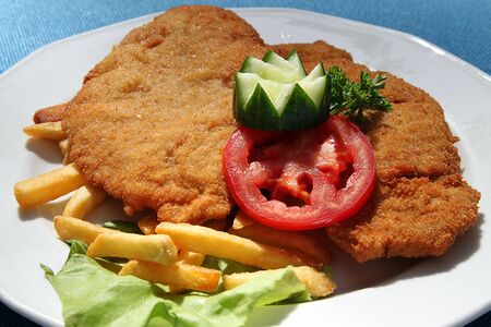 a cutlet with vegetable and saladの写真素材