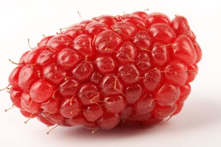 Ripe Tayberry on white backgroundの写真素材