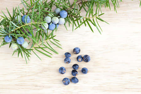Berries of juniper, used as a spice