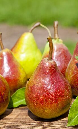 Autumn fresh pear over old wood boardの写真素材