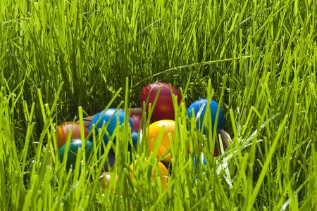 Plain colorful Easter Eggs in a bastketの写真素材