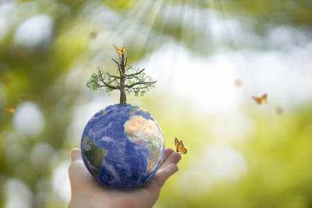 Planet Earth globe ball and growing tree in human hand, flying yellow butterfly on green sunny background. Saving environment, save clean planet, ecology concept. 3D Illustration.の写真素材