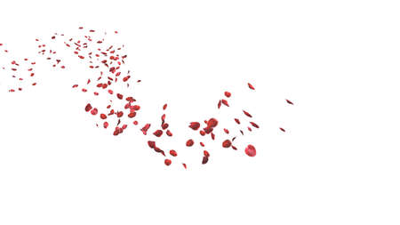 Red rose petals floating in curve flow path on white background with Clipping Path, 3D Illustration.の写真素材
