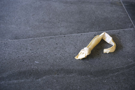 Abandoned crumpled bone on the floor, stock photoの写真素材