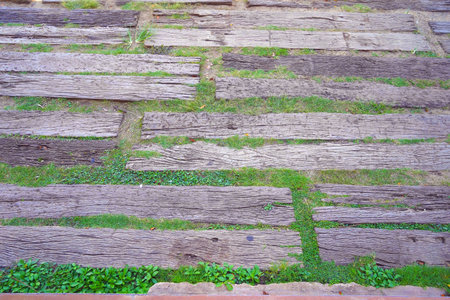 Wooden walkway in garden with green grass and leaves background.の写真素材