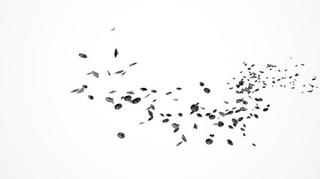 Black Petals Flow in the wind Isolated on white background. Abstract black Leaves flower blow on curve path on white background. 3d renderの写真素材