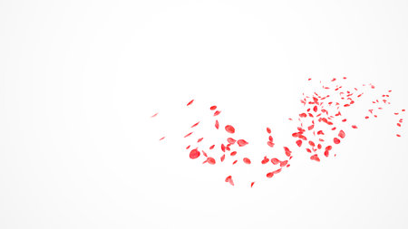 Red rose petals fly in the air on a white background.の写真素材