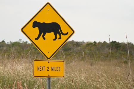 Road Sign with animal - Florida の写真素材