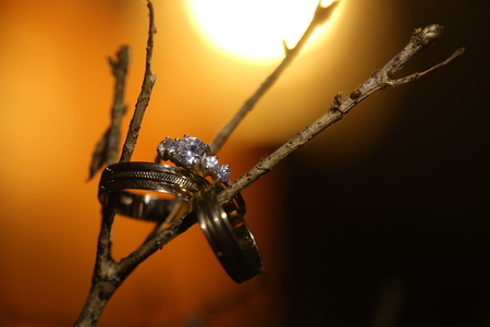 wedding ringsの写真素材