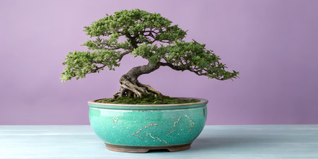 Elegant bonsai tree in turquoise pot against pastel backdrop provides a calming zen vibe for mindful interiors and peaceful lifestyle conceptsの写真素材