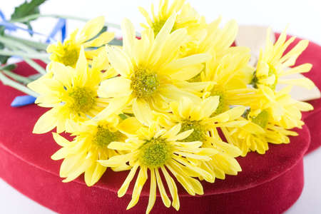 Shoot of nice abstract composition with flowers.の写真素材