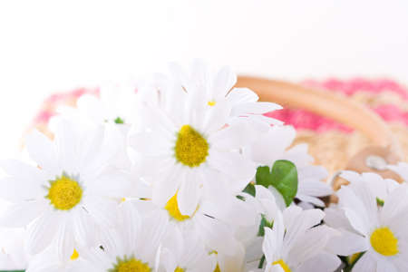 Shoot of nice abstract composition with flowers.の写真素材