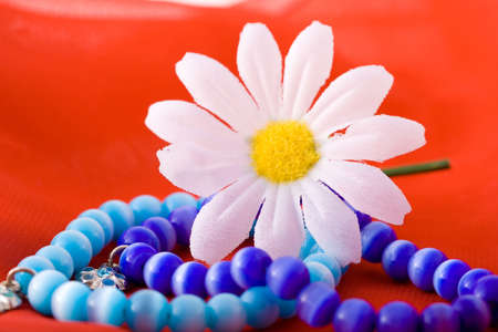 Shoot of nice abstract composition with flowers.の写真素材