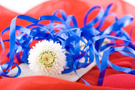 Shoot of nice abstract composition with flowers.の写真素材