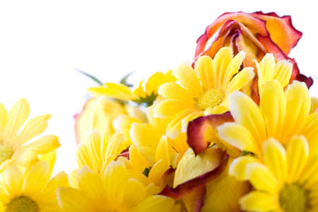 Shoot of nice abstract composition with flowers.の写真素材