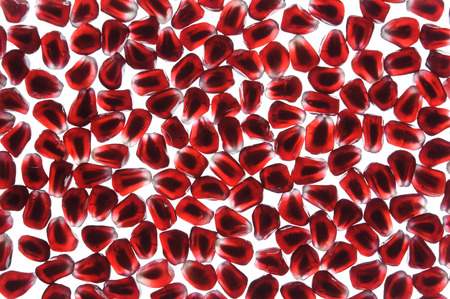 The picture of transparent pomegranate grain on backlight backgroundの写真素材