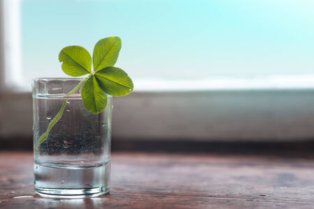quatrefoil clover in a glass standing on windowsill