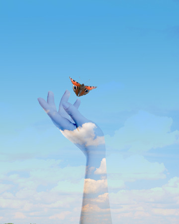 Womans hands letting the butterfly be free to goの写真素材