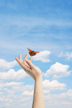 Womans hands letting the butterfly be free to goの写真素材