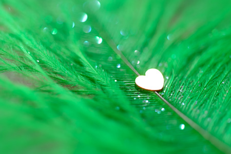 Abstract background made of ostrich feathers and glittersの写真素材