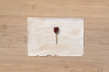 Various objects related to nature and blank paper on wooden backgroundの写真素材