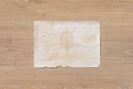 Various objects related to nature and blank paper on wooden backgroundの写真素材