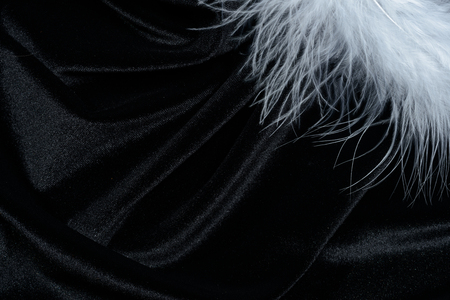 Fluffy swan feather on black silk velvet backgroundの写真素材