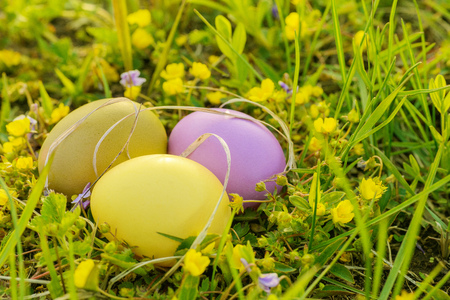 Colorful easter eggs