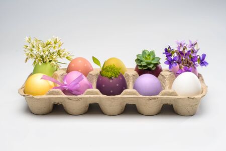 Clolorful easter eggs in tray on table