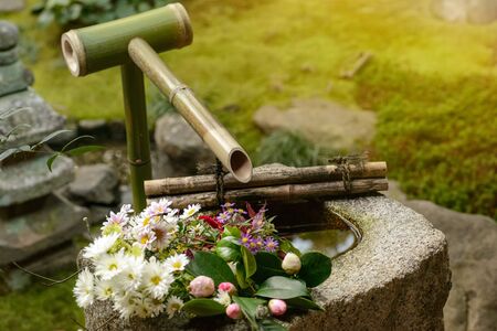 Sacred bamboo springの写真素材