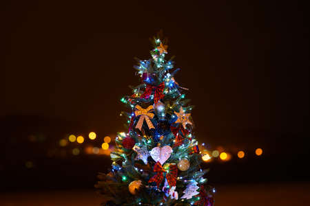 New Years Tree at Nightの写真素材