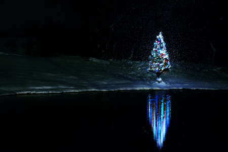 New Years Tree at Nightの写真素材