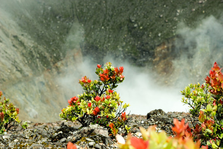The Crater of Mount Gede Emits Smokeの写真素材