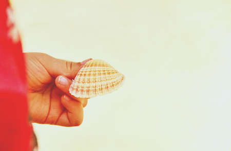 Isolated shell in a handの写真素材