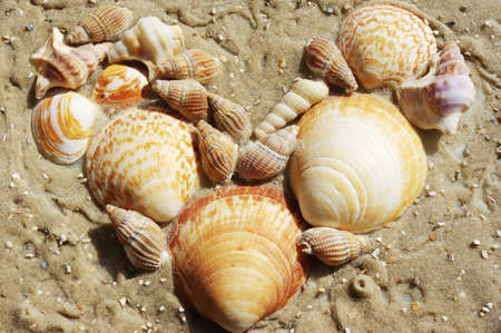 Heart shape: Symbols for love and romance.の写真素材