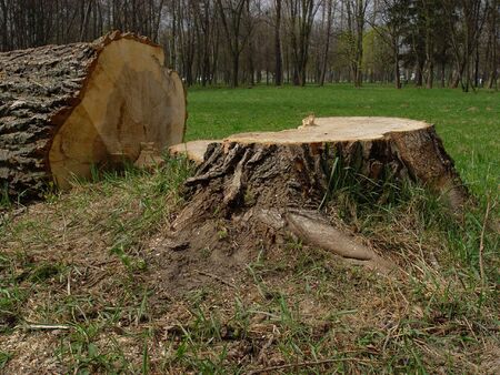 woodpile (round)