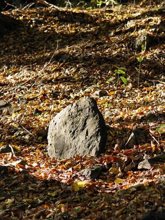 stone backgroundsの写真素材